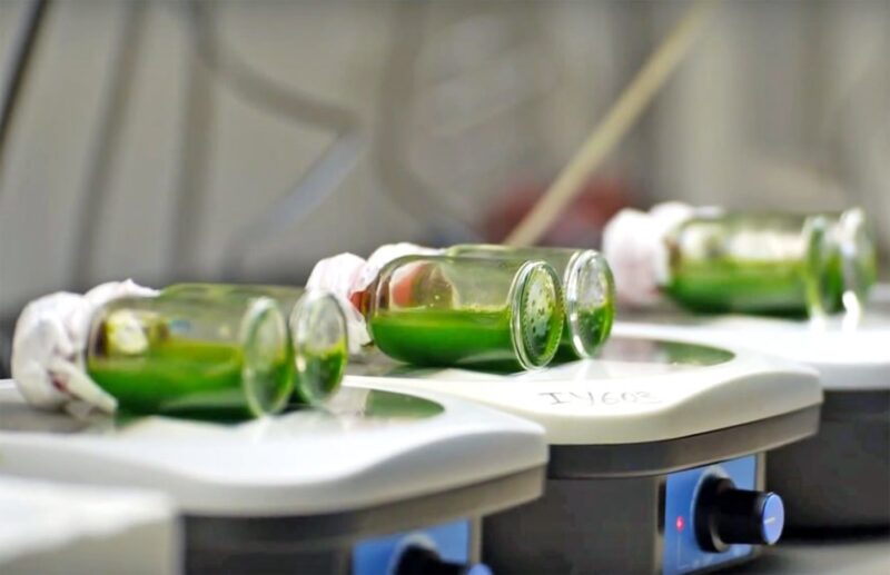 des chercheurs israéliens