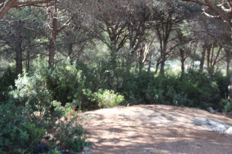 Première opération