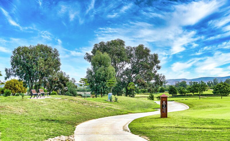 Dominique Dmytryszyn