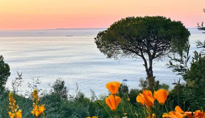 Vue sur mer au coucher du soleil pour un printemps à Tanger