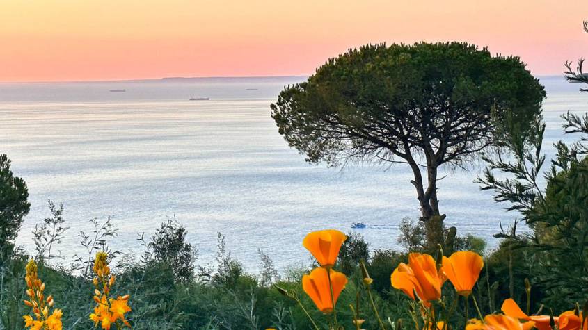 Vue sur mer au coucher du soleil pour un printemps à Tanger