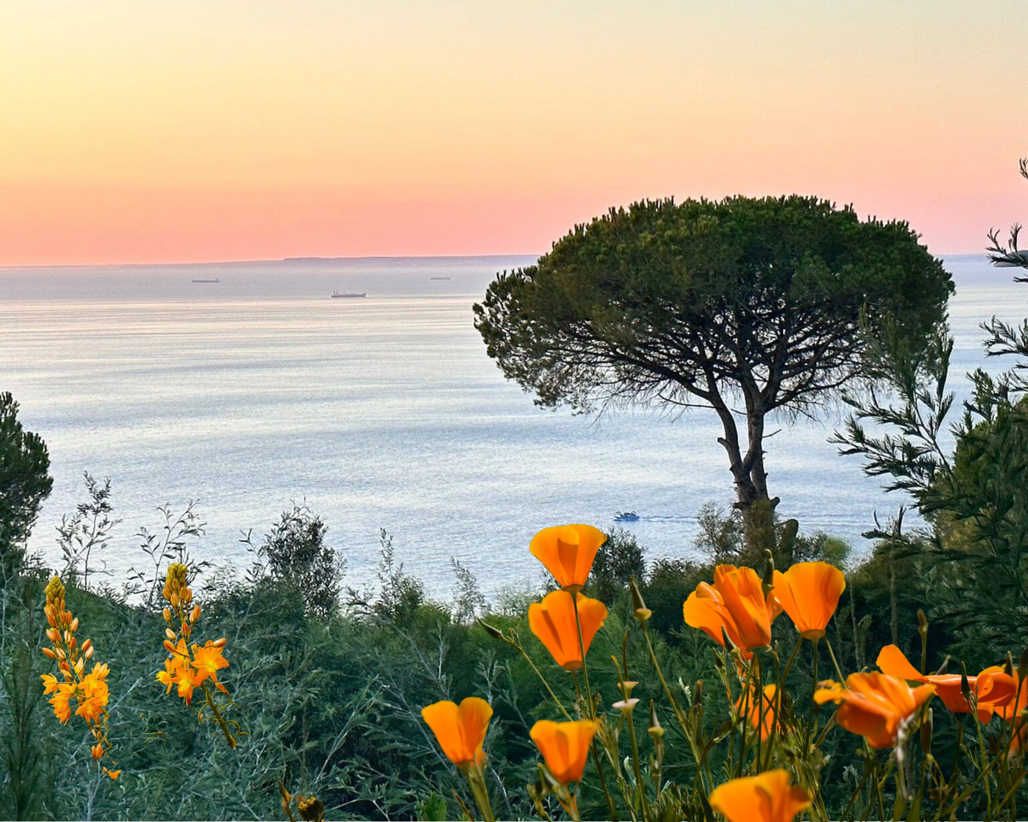 Vue sur mer au coucher du soleil pour un printemps à Tanger