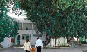 Visite des jardins de la Mendoubia pendant le printemps à Tanger