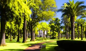 Parc Villa Harris pour une promenade pendant le printemps à Tanger